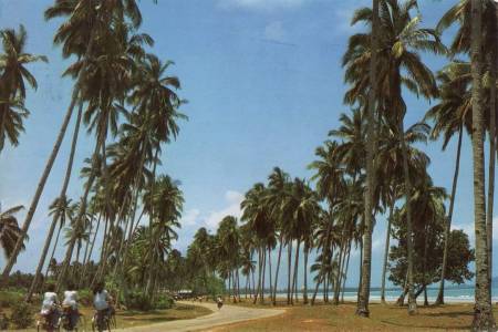 Pantai sepat 1980an