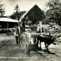 bullock-cart-ore-town-1920.png