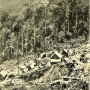 hill-mining-pahang-1910.png