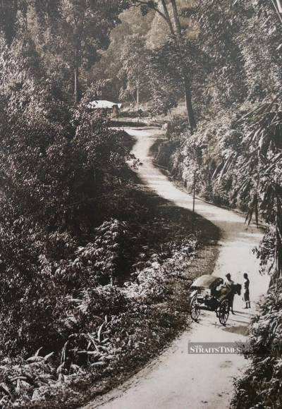 Road from Kuala Lipis to Raub in the 1890s.